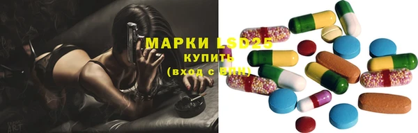 гидропоника Алзамай