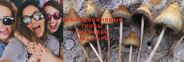 гидропоника Алзамай