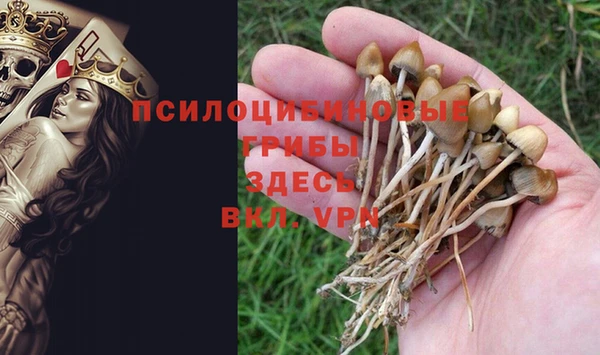 гидропоника Алзамай