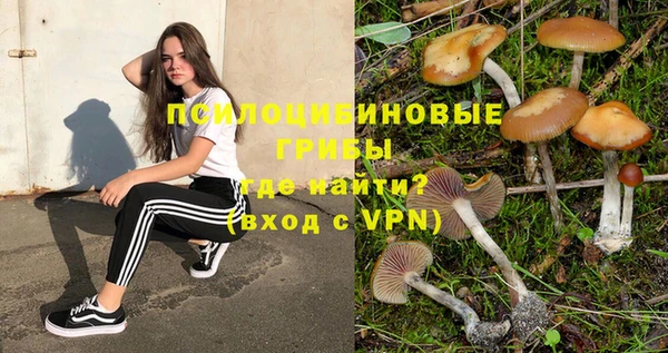 молекула духа Алексин